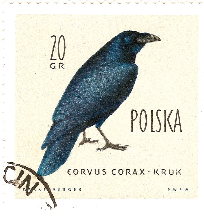 Kruk_Krouk_Crow